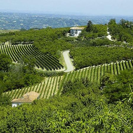 Agriturismo Cascina Anri Mango Exteriér fotografie