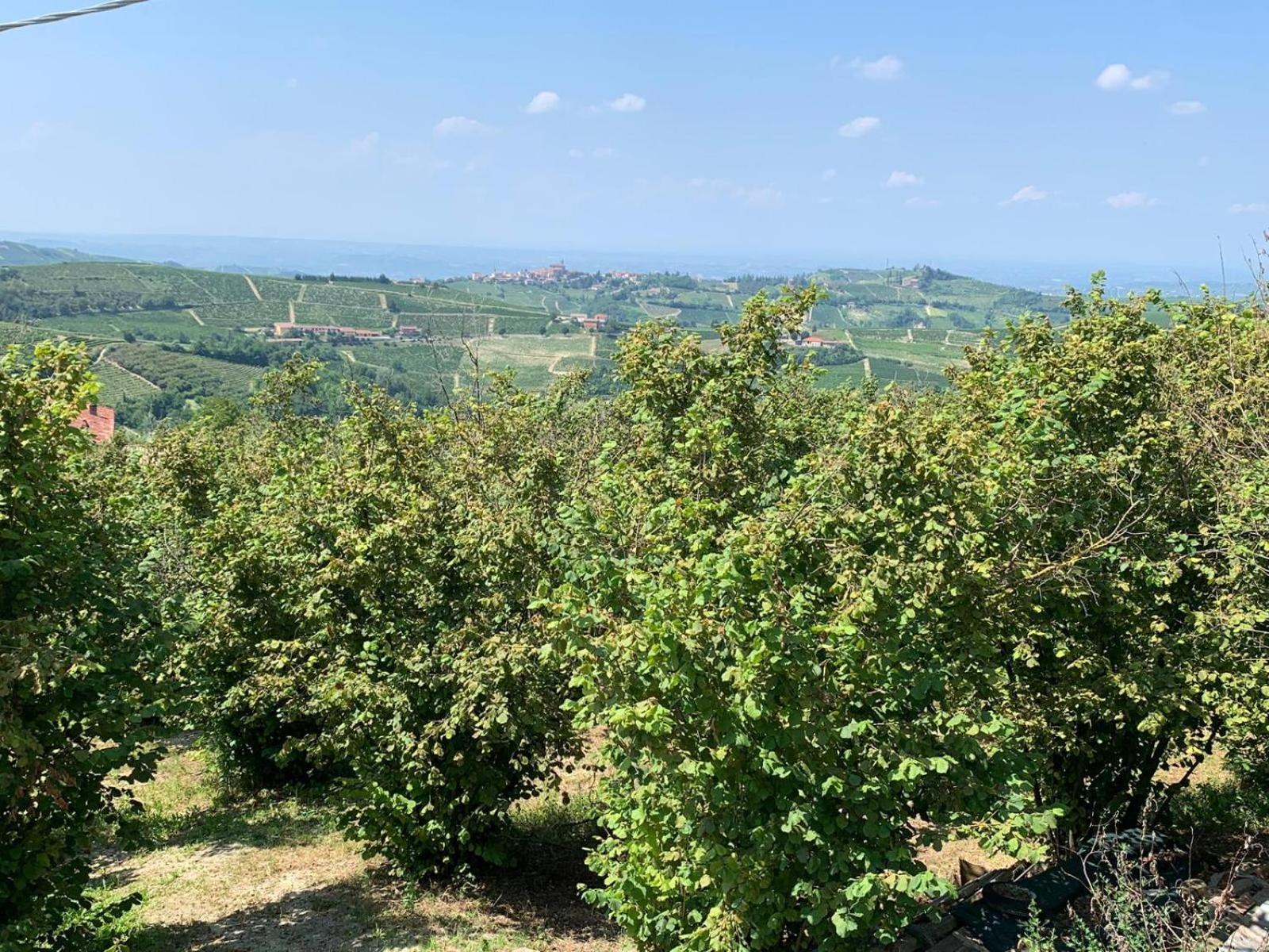 Agriturismo Cascina Anri Mango Exteriér fotografie