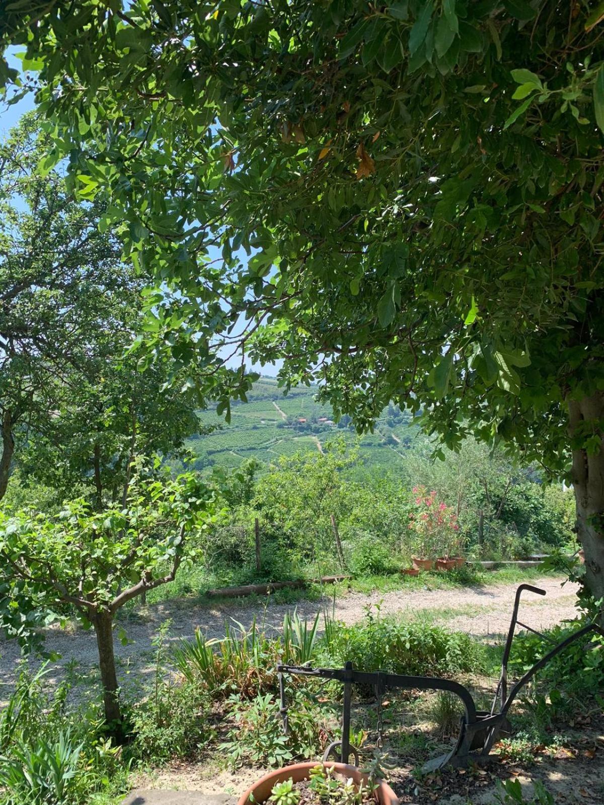 Agriturismo Cascina Anri Mango Exteriér fotografie