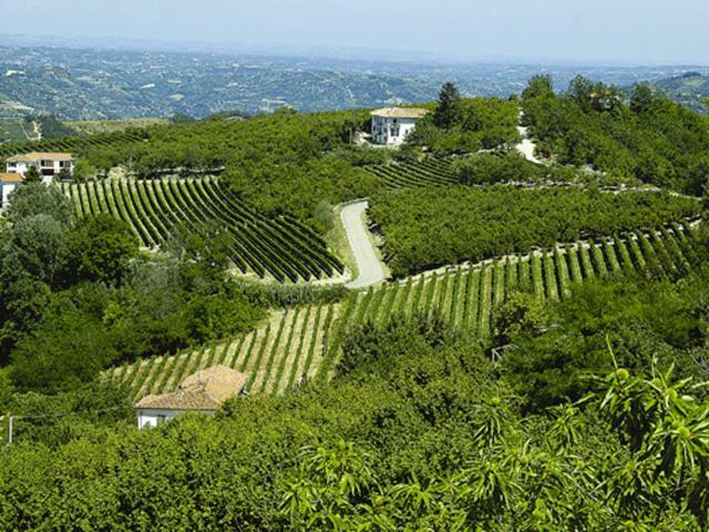 Agriturismo Cascina Anri Mango Exteriér fotografie